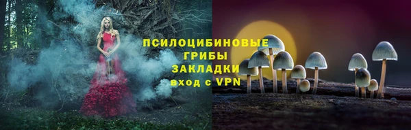 герыч Абаза