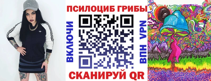 Псилоцибиновые грибы MAGIC MUSHROOMS  закладка  Алапаевск 